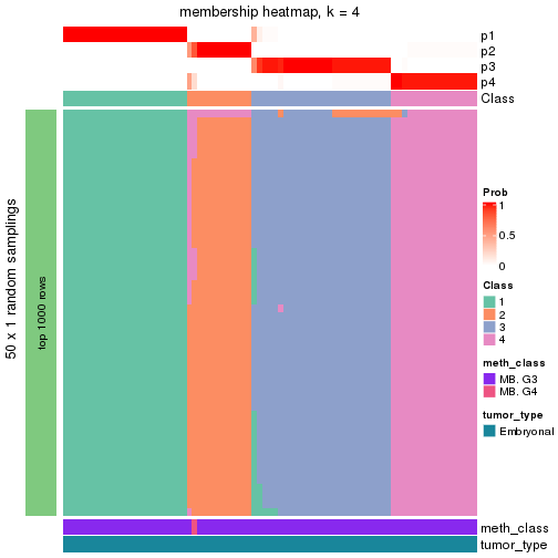 plot of chunk tab-node-013-membership-heatmap-3