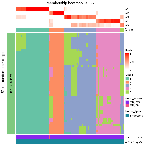 plot of chunk tab-node-013-membership-heatmap-4