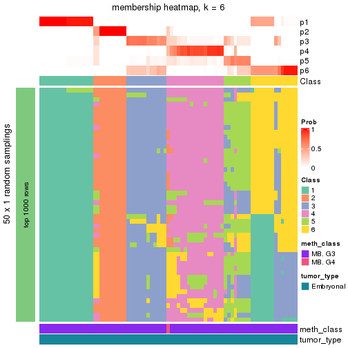 plot of chunk tab-node-013-membership-heatmap-5