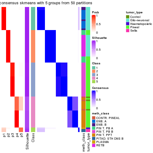 plot of chunk tab-node-014-consensus-heatmap-4