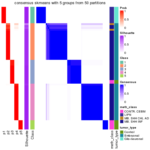 plot of chunk tab-node-016-consensus-heatmap-4