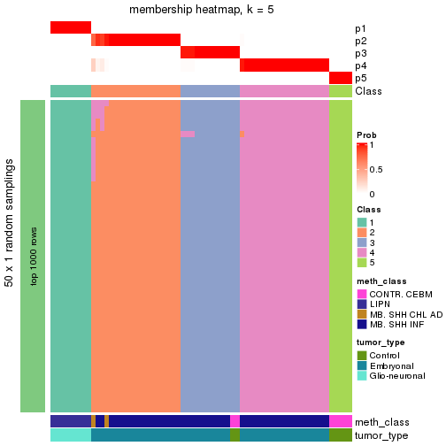 plot of chunk tab-node-016-membership-heatmap-4