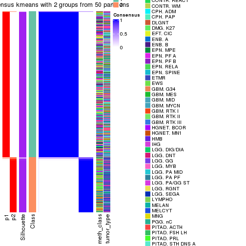 plot of chunk tab-node-02-consensus-heatmap-1