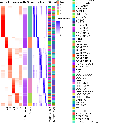 plot of chunk tab-node-02-consensus-heatmap-5