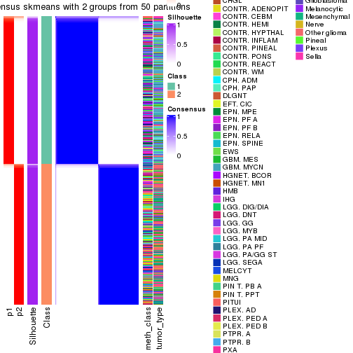 plot of chunk tab-node-021-consensus-heatmap-1