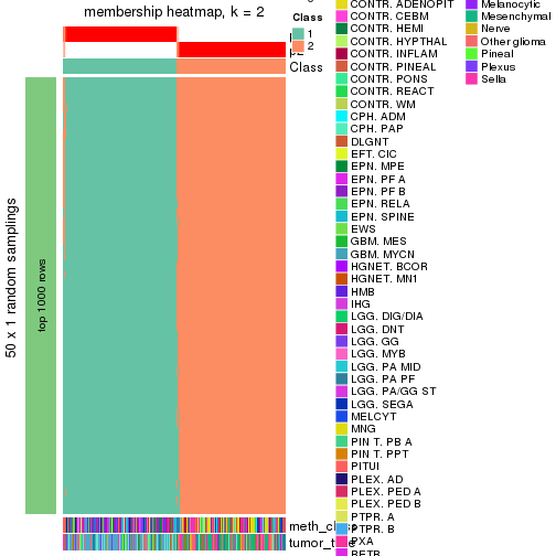 plot of chunk tab-node-021-membership-heatmap-1