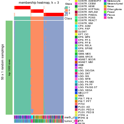 plot of chunk tab-node-021-membership-heatmap-2