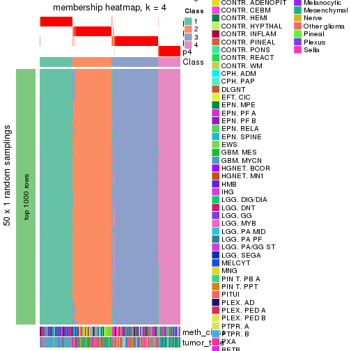 plot of chunk tab-node-021-membership-heatmap-3