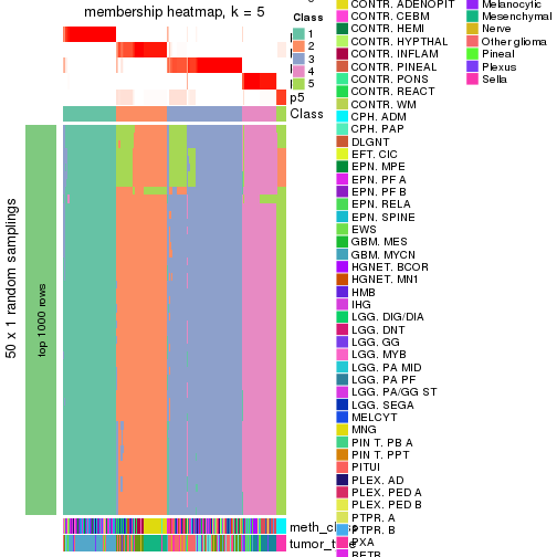 plot of chunk tab-node-021-membership-heatmap-4