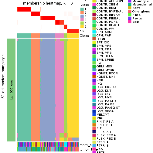 plot of chunk tab-node-021-membership-heatmap-5