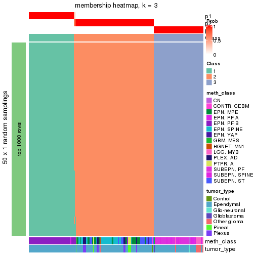 plot of chunk tab-node-0211-membership-heatmap-2