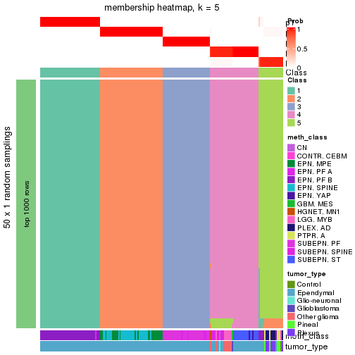 plot of chunk tab-node-0211-membership-heatmap-4