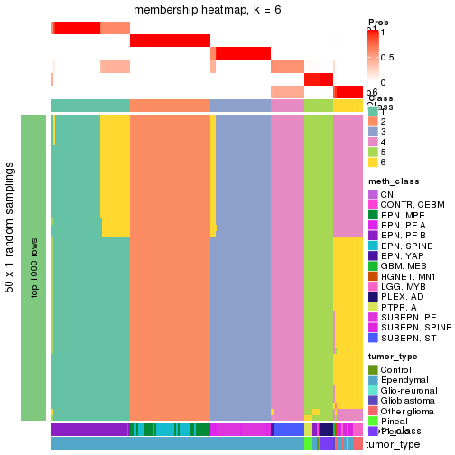 plot of chunk tab-node-0211-membership-heatmap-5