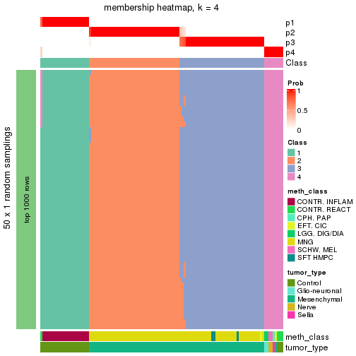 plot of chunk tab-node-0212-membership-heatmap-3