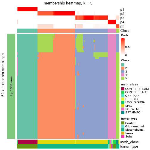 plot of chunk tab-node-0212-membership-heatmap-4