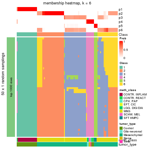 plot of chunk tab-node-0212-membership-heatmap-5