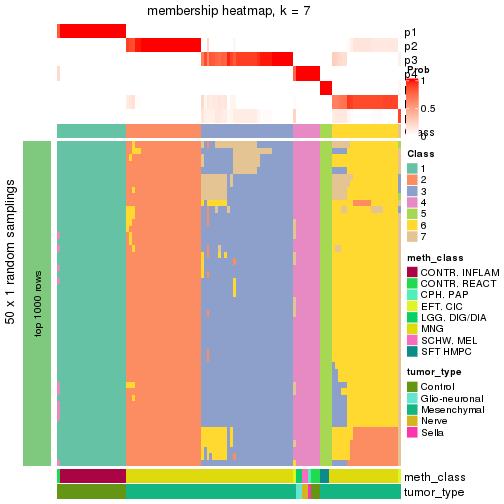 plot of chunk tab-node-0212-membership-heatmap-6