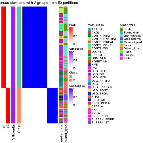 plot of chunk tab-node-0213-consensus-heatmap-1