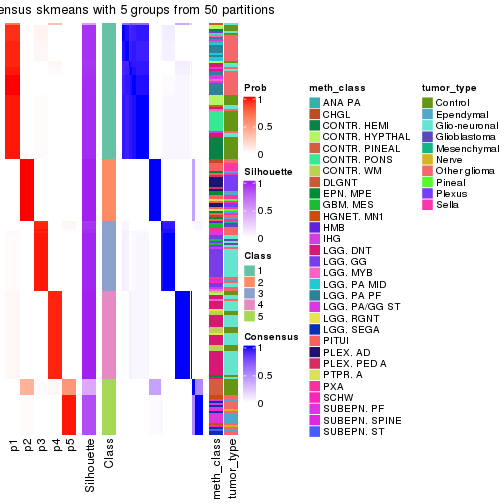 plot of chunk tab-node-0213-consensus-heatmap-4