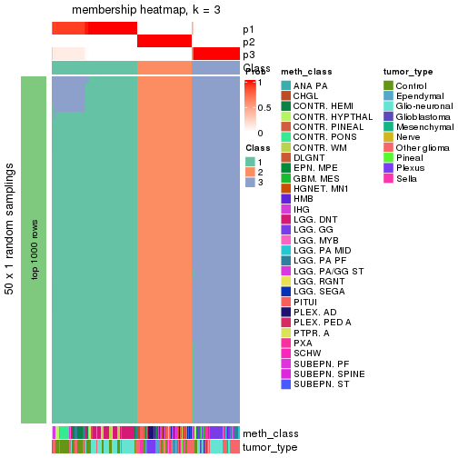 plot of chunk tab-node-0213-membership-heatmap-2