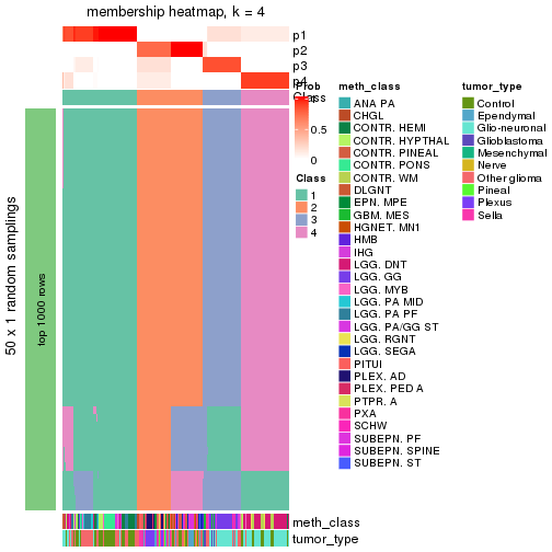 plot of chunk tab-node-0213-membership-heatmap-3