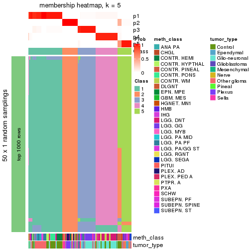 plot of chunk tab-node-0213-membership-heatmap-4