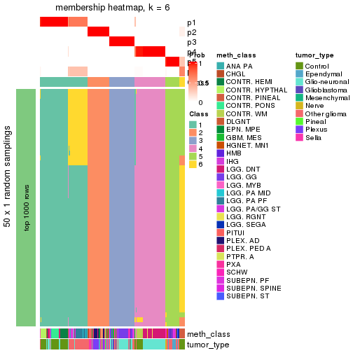 plot of chunk tab-node-0213-membership-heatmap-5