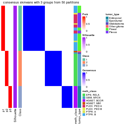 plot of chunk tab-node-0214-consensus-heatmap-2