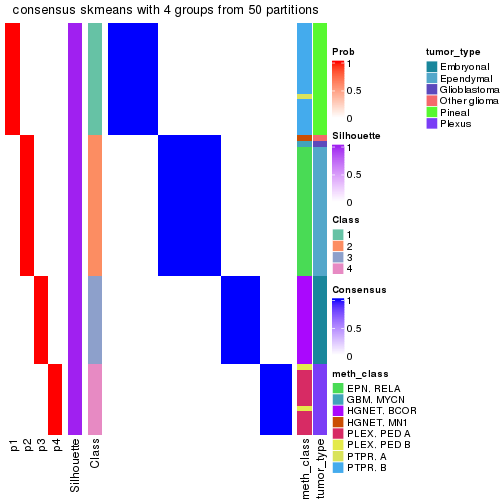 plot of chunk tab-node-0214-consensus-heatmap-3