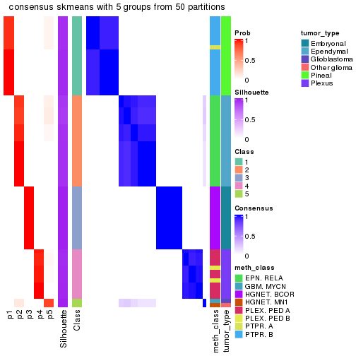 plot of chunk tab-node-0214-consensus-heatmap-4