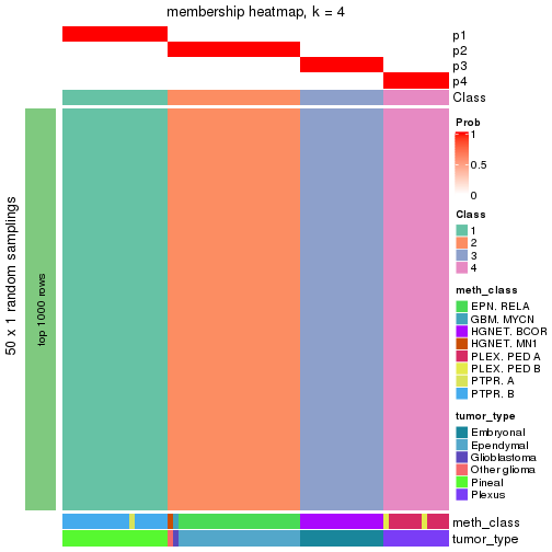 plot of chunk tab-node-0214-membership-heatmap-3