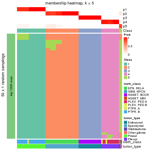 plot of chunk tab-node-0214-membership-heatmap-4