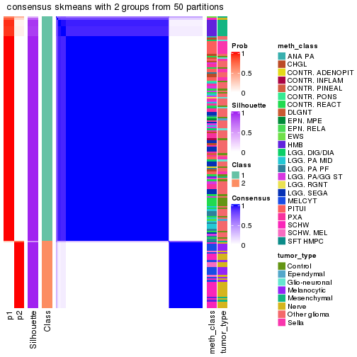 plot of chunk tab-node-0216-consensus-heatmap-1