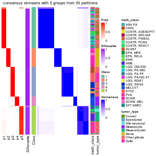 plot of chunk tab-node-0216-consensus-heatmap-4