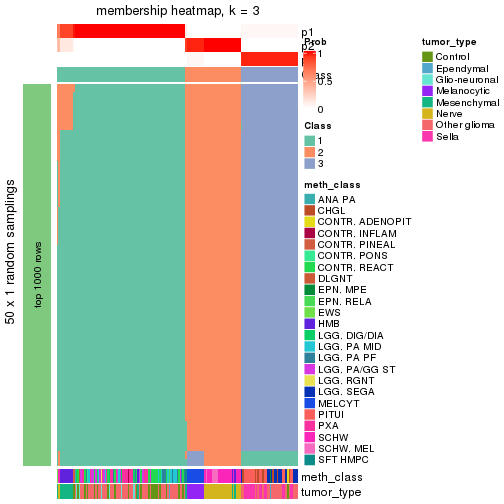 plot of chunk tab-node-0216-membership-heatmap-2