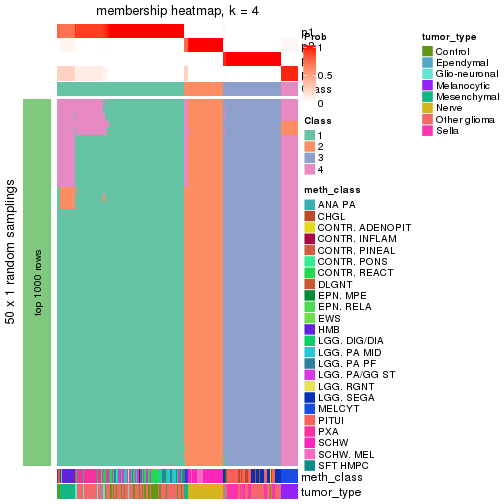 plot of chunk tab-node-0216-membership-heatmap-3