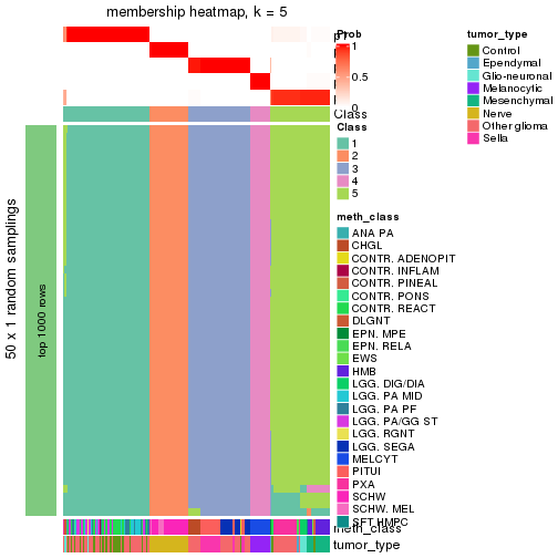 plot of chunk tab-node-0216-membership-heatmap-4