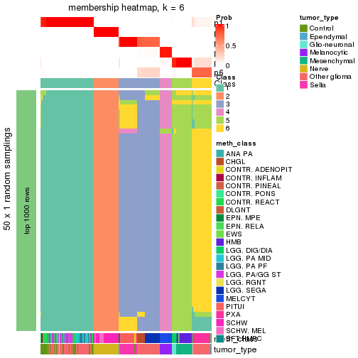 plot of chunk tab-node-0216-membership-heatmap-5