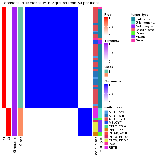 plot of chunk tab-node-0217-consensus-heatmap-1