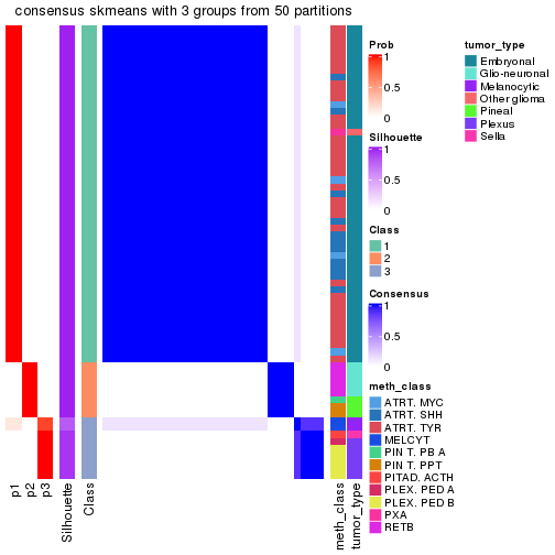 plot of chunk tab-node-0217-consensus-heatmap-2