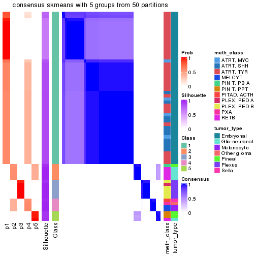 plot of chunk tab-node-0217-consensus-heatmap-4