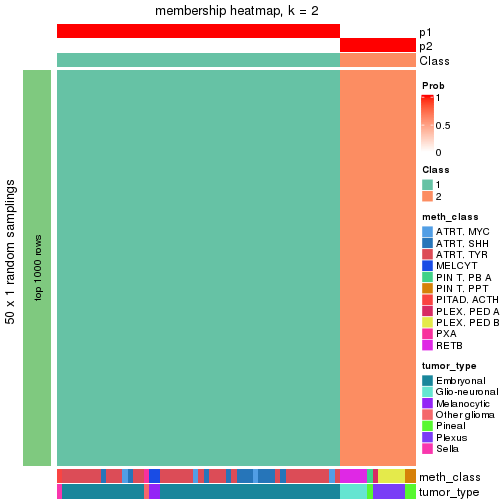 plot of chunk tab-node-0217-membership-heatmap-1