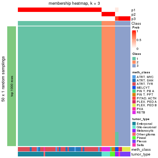 plot of chunk tab-node-0217-membership-heatmap-2