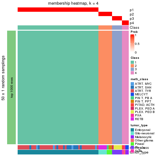 plot of chunk tab-node-0217-membership-heatmap-3