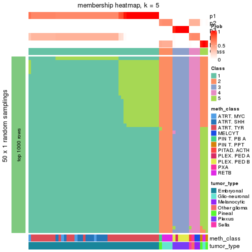 plot of chunk tab-node-0217-membership-heatmap-4