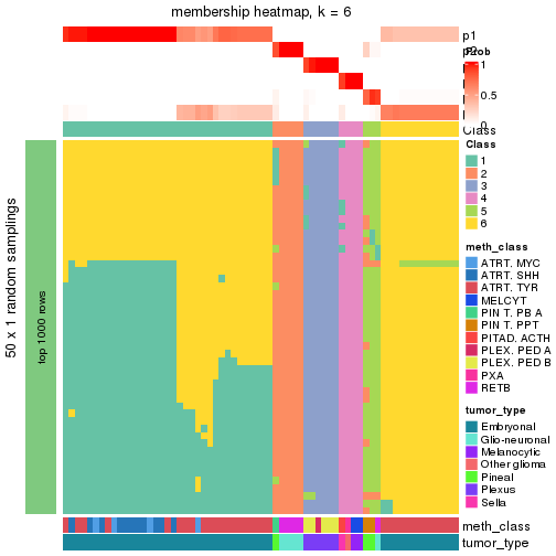 plot of chunk tab-node-0217-membership-heatmap-5