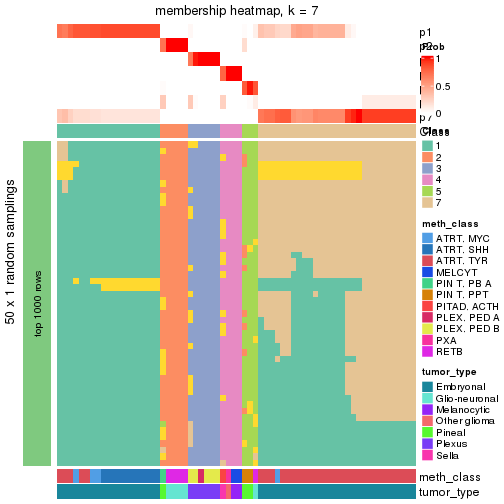 plot of chunk tab-node-0217-membership-heatmap-6