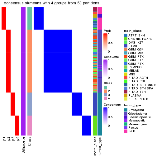 plot of chunk tab-node-022-consensus-heatmap-3