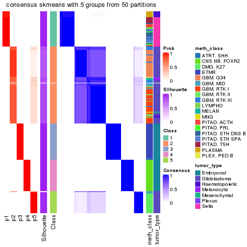 plot of chunk tab-node-022-consensus-heatmap-4