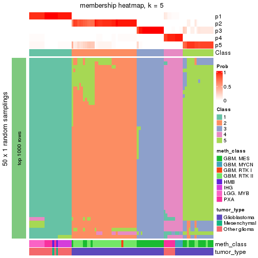 plot of chunk tab-node-0231-membership-heatmap-4